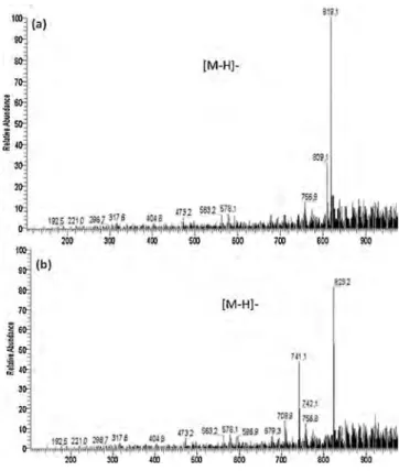 Figure 2 Structure of antibiotic P41A (A) and COSY correla- correla-tions (B).