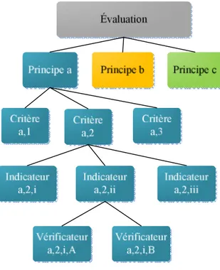 Figure 3. Organisation hiérarchique des principes, critères, indicateurs et vérificateurs pour l'évaluation 