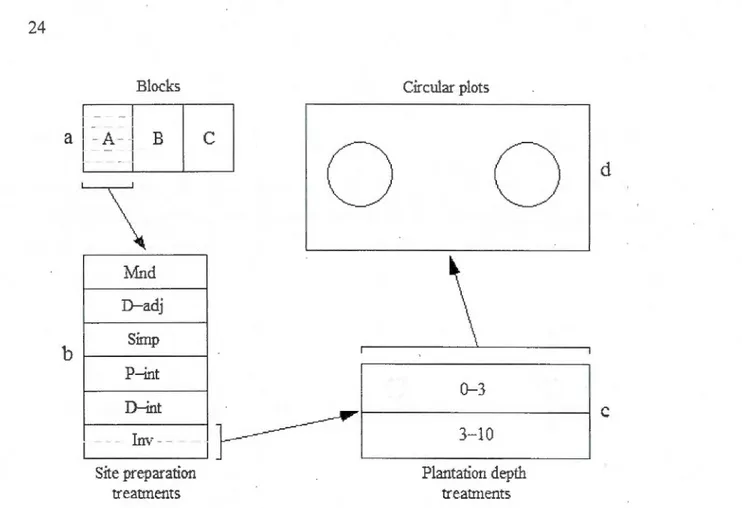 Figure  1.1  Layout  of  the  split-spl it-plot  experimental  design  with  details  of  one  experimental unit