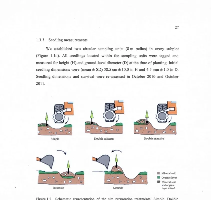 Figure 1.2  Schematic  representation  of  the  site  preparation  treatments:  Simp le,  Double  adjacent, Double intensive (including Partial  intensive),  Inversion  and  Mounds