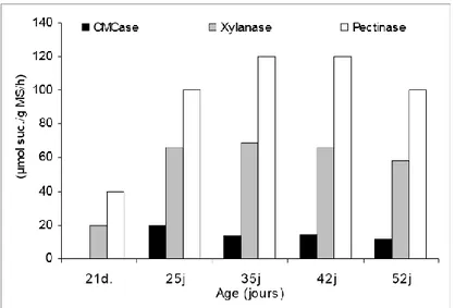Figure 2 : Activité fibrolytique des bactéries caecales, en fonction de l’âge du lapereau