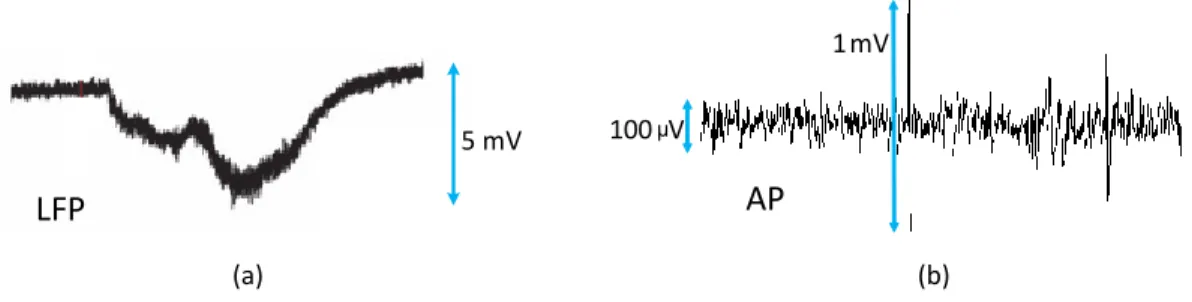 Figure 1.1 – Two different types of neural signals. a) Local field potential neural signals