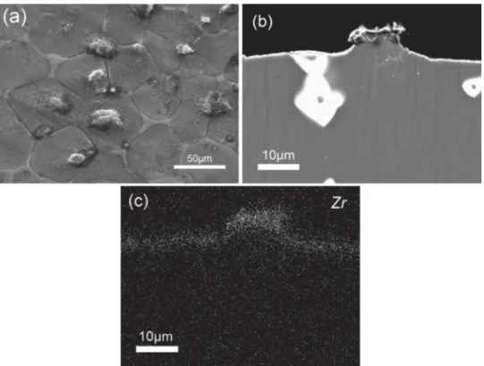 Fig. 1. SEM image of the cast magnesium alloy after acid etching with 20 g/L of HNO 3 : (a) surface of the substrate; (b) cross-section (mode BSE); (c) EDX analyze for zirconium.