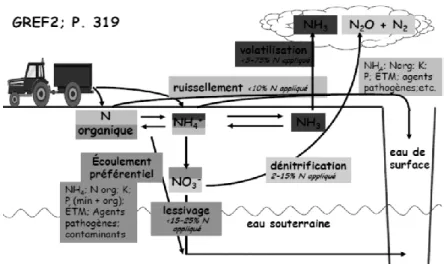 Figure  2.  Schéma  des  principales  voies  de  pertes  environnementales  de  l'azote  après  un  apport  d'engrais organique