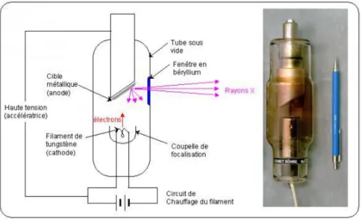 Figure 7 : Tube radiogène (Photographie H. Umland) d’après [19] 