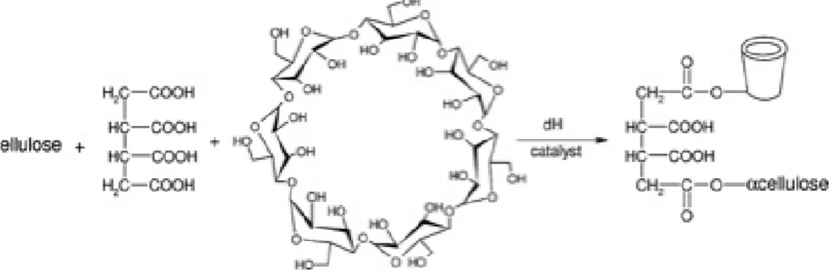 Fig. 1. Attachment of BCD to cotton with BTCA. 5  Source reproduced with permission from Elsevier.