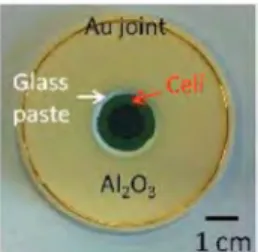 Fig. 1  Photogroph  of  a  cell  seoled  with  the  most  suitoble  glass  (of  this  study) to on alumina ring before seoling operotion