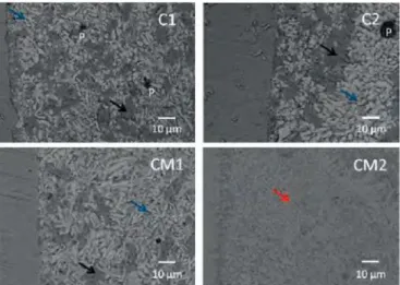 Fig. 2  Photographs of  (a) glasses peste  on steel  plates,  (b) steel -g lass­ steel sandwiches after a sealing operation at 850 ° C during 2 h followed  by a heat treatment at 700  ° C of  1,000 h under air atmosphere