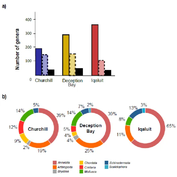 Figure  3.  a)  Barplots  of  the  number  of  taxa  found  in  Churchill  (blue),  Deception  Bay  (yellow)  and  Iqaluit  (red)