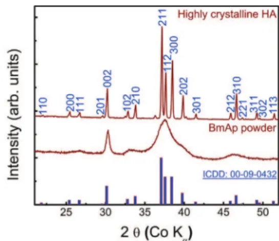 Fig. 2. XRD patterns of stoichiometric crystalline HA and BmAp powder.