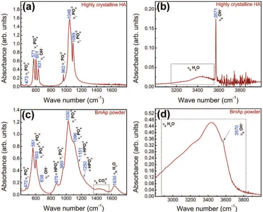Fig. 3. FTIR spectra of highly crystalline HA (a and b) and BmAp powders (c and d) in the spectral regions: 1800–400 cm −1 (a and c) and 4000–2800 cm −1 (b and d).