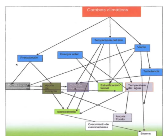 Figura  1.1  Cambios  climaticos  y  el  efecto  sobre  algunas  variables  ambientales