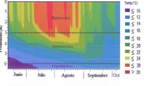 Figura  2.3  Evoluci6n  espacio-temporal  de  la  temperatura  del  agua,  en  la  estaci6n  central, del  lago Bromont