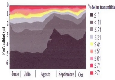 Figura  2.7  Distribucion  espacio-temporal  del  porcentaje  de  luz  transmitida  (fotosinteticamente disponible, PAR) en  la columna de agua en la estacion central del  lago Bromont