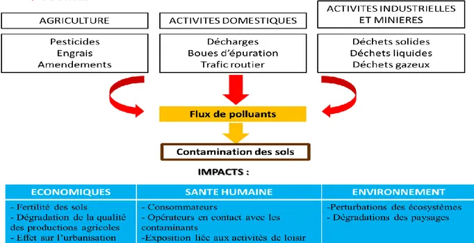 Figure I.2.1 : Les diverses sources de pollutions des sols et leurs conséquences  (Austruy &amp; Dumat, 2014) 
