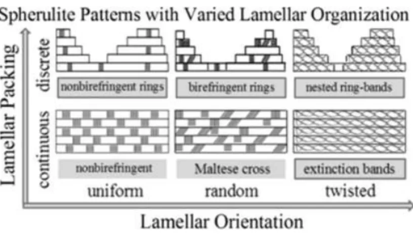 Figure 2.12: Représentation schématique de différentes morphologies sphérulitiques (Li et al.,  2014)