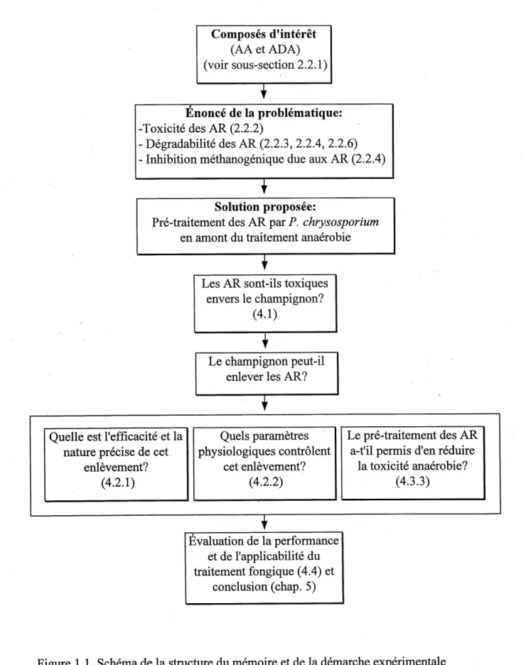 Figure 1.1 Schema de la stmcture du memoire et de la demarche experimentale