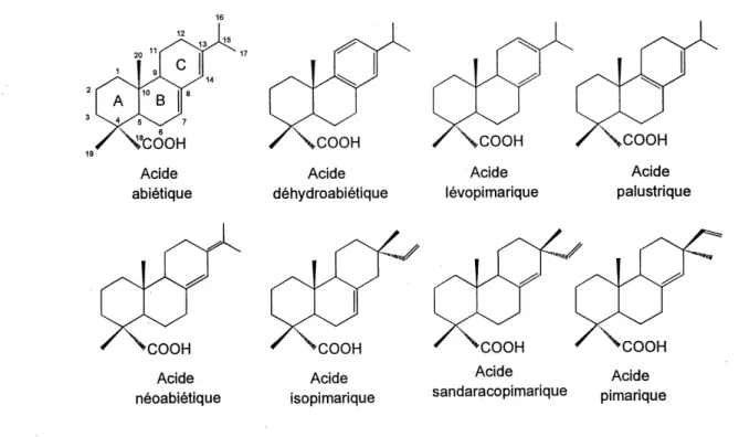 Figure 2.2 Principaux acides resiniques retrouves au sein des effluents papetiers