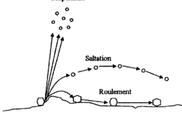 Figure 3. Schéma du transport des particules par le vent 