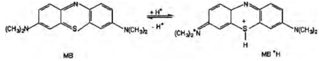 Figure 3. Structure of methylene blue in acidic and basic media.