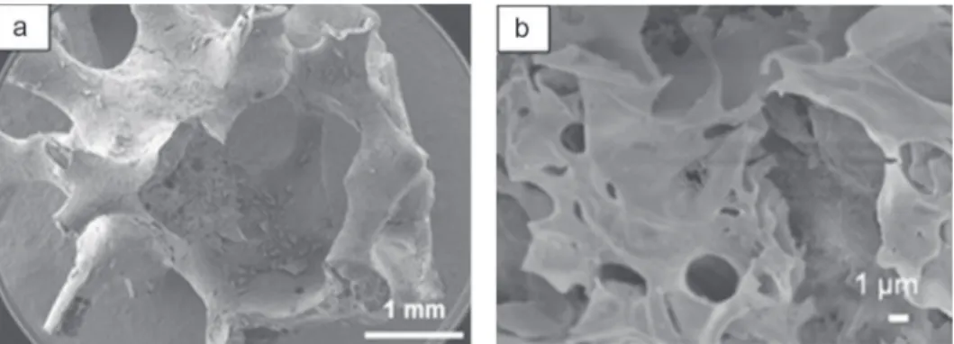 Fig. 11. Cr 2 O 3 coatings made with a nitrate concentration of 1.0 M (a) view of the coated foam, (b) sheet structure of the coating.
