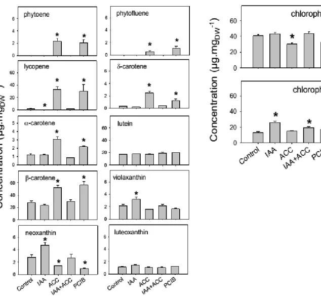 Fig. 9: Carotenoid contents, 96h after treating the fruits with different hormones, HPLC  results ,  n  =  3