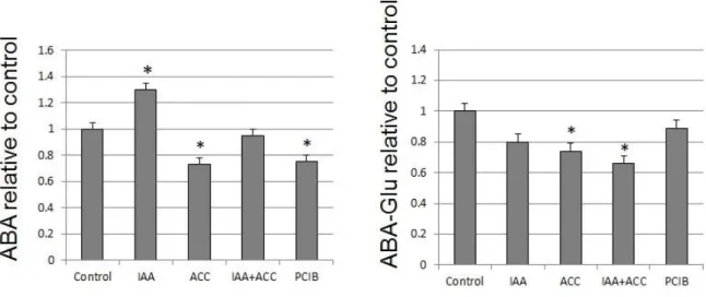 Fig. 10: Variations of free ABA levels and ABA glucoside in MicroTom tomatoes 96h  after  hormonal  treatments