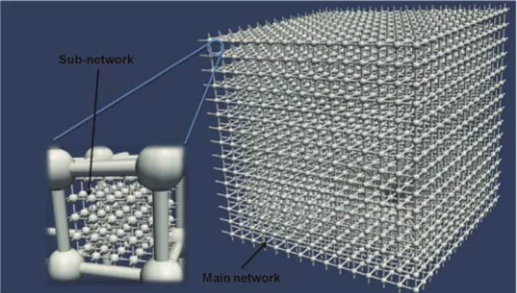 Fig. 1. Pore network representing the primary pores (sub-network in the left) and the secondary pores (main network in the right).