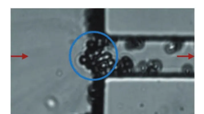 Fig. 12 Evolution of the additional resistance as a function of the number of adhered particles: transition between arches and the cake formation.