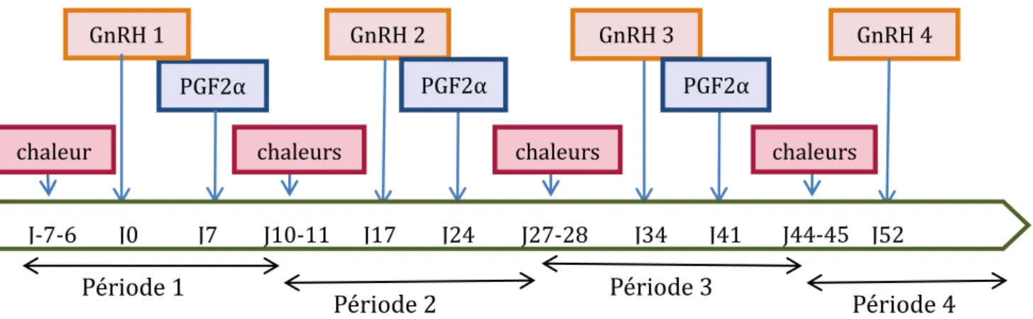 Figure 6 : Chronologie des différentes périodes et des étapes clés de l’étude 