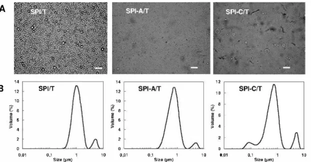 Fig. 3.  (A) Optical micrographs (scale bar - 10 µm) and (B) droplet size distributions of T based emulsions with native (SPI/Tl, acylated (SPI-A/Tl and cationized (SPI-C/Tl soy  protein