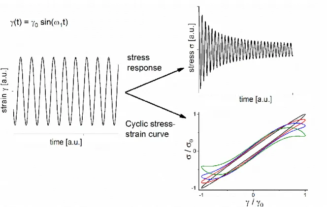 Figure 5: Typical behavior of the stress response of a strain controlled fatigue test and its corresponding  hysteresis loops/Lissajous curves