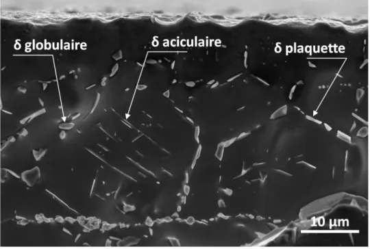 Figure I-5 Cliché MEB illustrant les différentes morphologies de la phase δ dans l’alliage 718 suite à un  traitement à 970°C durant 12 heures