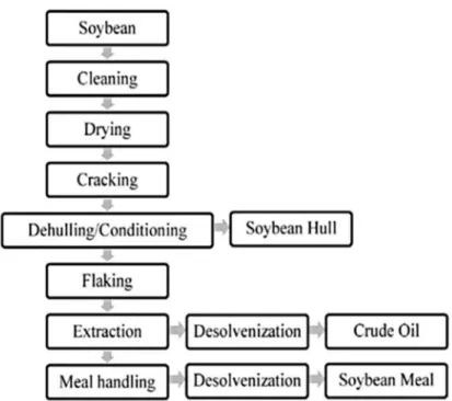 Figure 1.2: Schematic representation of the extraction procedure of oil from soybean. Adapted from (Cheng &amp; Rosentrater, 2017).