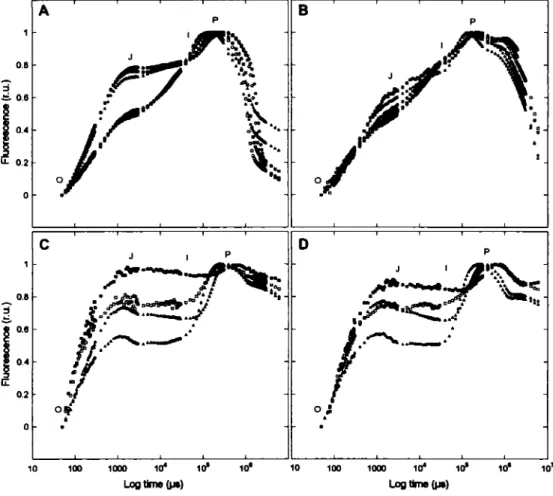 Figure  2.1.  Fast fluorescence  kinetics  of S.  obliquus (A),  N  pelliculosa (B),  and  M  aeruginosa  CPCC632  (C)  and  CPCC299  (D),  acclimated  to  10°C  (circles),  15°C  (squares) or 25°C  (triangles), control (empty symbols) or exposed to  atraz