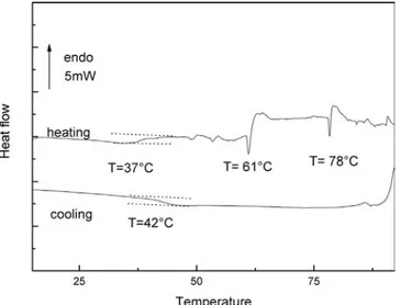 Fig. 1. DSC thermograms of S4 peptides in solution (2 mM) (heating and cooling