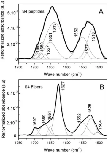 Fig. 4. TGA thermograms (TG) and temperature derivative (DTG) thermograms of freeze-dried S4 peptides and freeze-dried S4 ﬁbers.