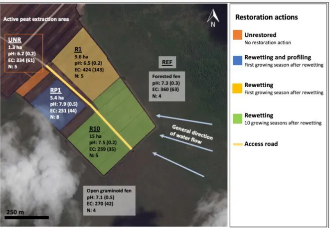 Figure 2 Experimental sectors of the study site in Southeastern Manitoba (49.931°N, 96.237°W), approximately 65 km  east of Winnipeg, Canada
