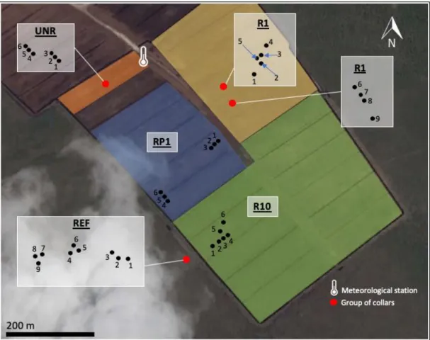 Figure 4 Approximate location of collars for carbon exchange measurements at each sector of the study site in  Southeastern Manitoba in 2016