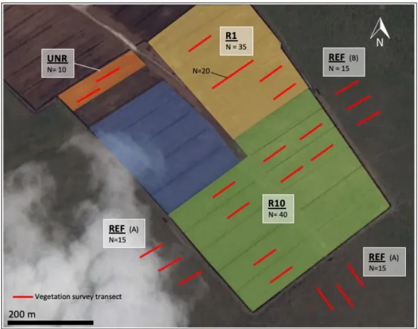 Figure 5 Approximate location of  vegetation survey transects. In the reference  ecosystem, vegetation was  surveyed in the open graminoid (A) and forested (B) fens
