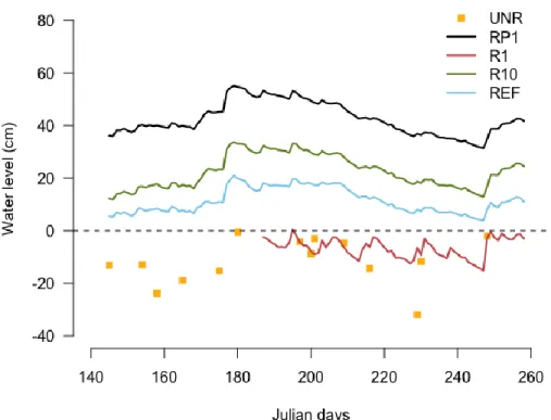 Figure 6 Water table levels recorded in experimental sectors, 0 cm corresponding to the  ground level