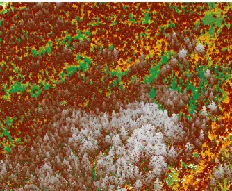 Figure 8 : Modélisation ArcScene de la forêt en bordure de la rivière Sainte-Anne à 4 points au m 2  (Dugré, 2016) 