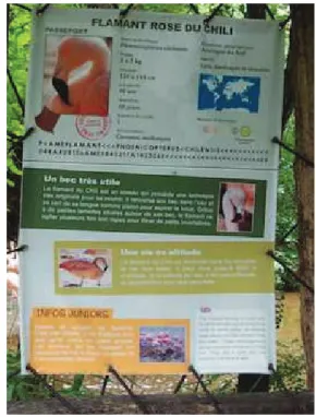 Figure 1 : Pancarte informative de l’enclos des flamants roses du  Chili, parc de la Boissière du Doré 