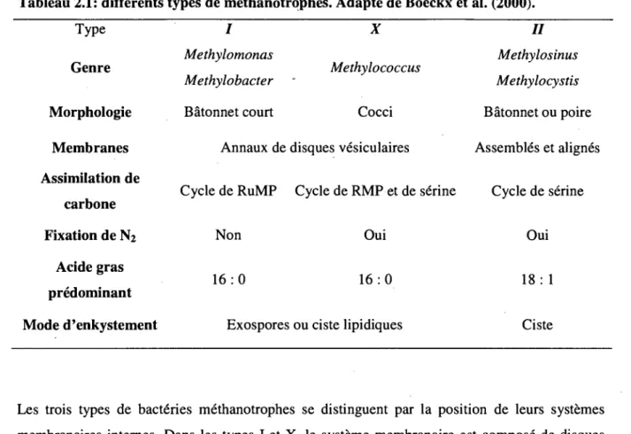 Tableau 2.1: differents types de methanotrqph.es. Adapte de Boeckx et al. (2000).  Type  Genre  Morphologie  Membranes  Assimilation de  carbone  Fixation de N2  Acide gras  predominant  Mode d'enkystement  /  Methylomonas Methylobacter  Batonnet court  X 