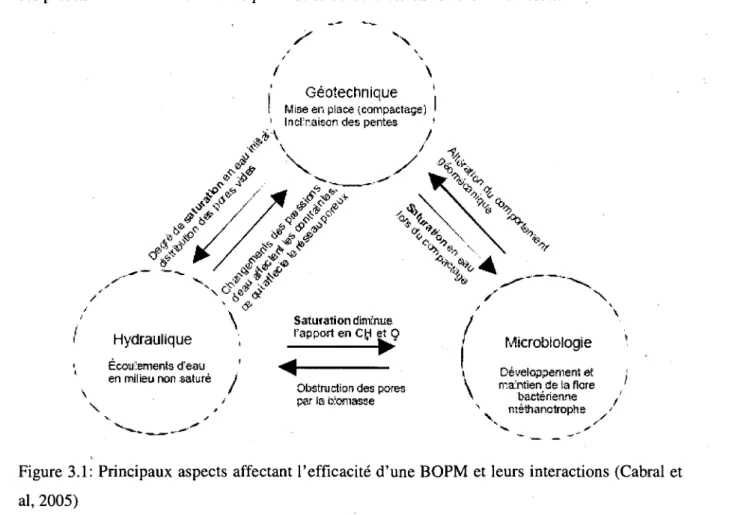 Figure 3.1: Principaux aspects affectant l'efficacite d'une BOPM et leurs interactions (Cabral et  al, 2005) 