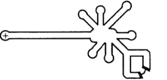 Figure 1.5 - Structure secondaire de  PLMVd de la polarité  positive (+).  [10] 