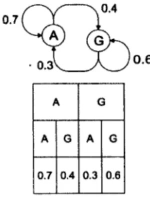 Figure  2.2 - Représentation  d'une séquence  quelconque  par  une  chaîne  de  Markov  dirigée  d'ordre  1