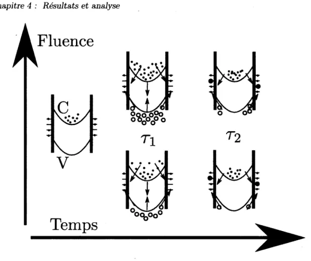 FIGURE  4.13 -  Schéma de l’hypothèse  sur la dynamique de recombinaison  des photopor-  teurs dans les NFs dopés-n