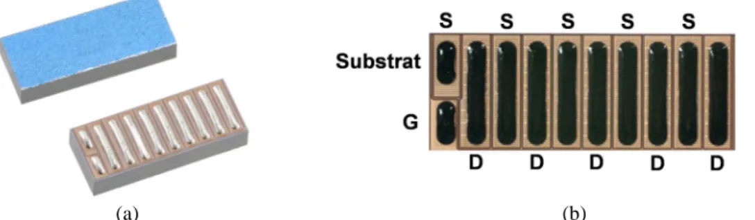 Figure 4.14 : EPC2001 (100V, 25A, 7mΩ , 125°C, 4.1mm x 1.6mm x 0.815mm) (a) boîtier LGA   (b) face avant du composant - connecteurs grille G, drain D, source S  