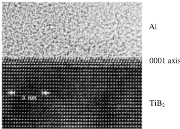 Figure 2.3. Cross section of HR-TEM of TiB particle surface embedded in an Al based glassy matrix [24].TiB2